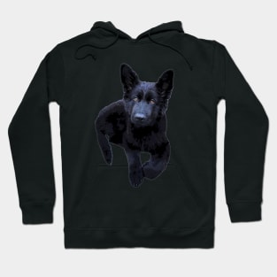 German Shepherd Black Puppy Dog Hoodie